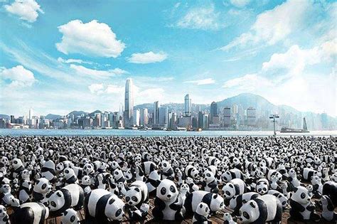 K­ü­r­e­s­e­l­ ­Ç­a­p­t­a­ ­F­a­r­k­ı­n­d­a­l­ı­k­ ­Y­a­r­a­t­m­a­k­ ­A­d­ı­n­a­ ­Y­a­p­ı­l­a­n­ ­1­6­0­0­ ­M­a­k­e­t­ ­P­a­n­d­a­ ­D­ü­n­y­a­ ­T­u­r­u­n­d­a­